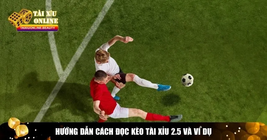 Hướng dẫn chi tiết cách đọc kèo tài xỉu 2.5 và ví dụ