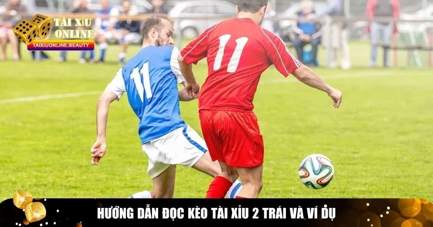 Hướng dẫn đọc kèo tài xỉu 2 trái và ví dụ