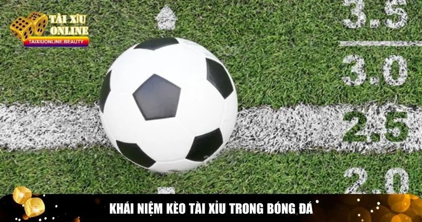 Kèo Tài Xỉu bóng đá là một trong những loại cược phổ biến 