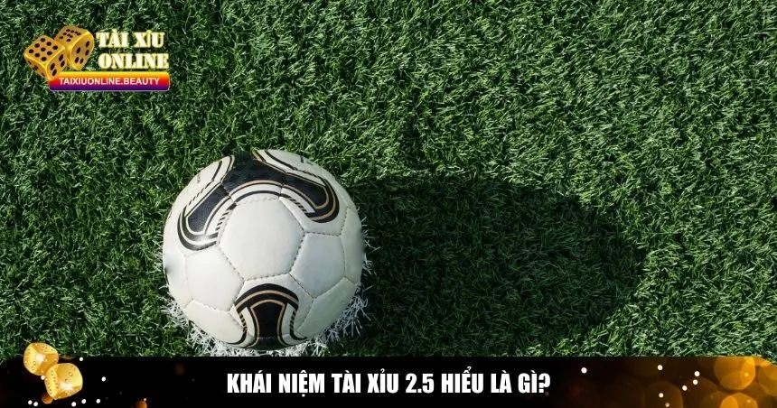 Khái niệm tài xỉu 2.5 hiểu là gì?