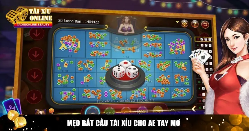 Mẹo chơi tài xỉu hữu ích