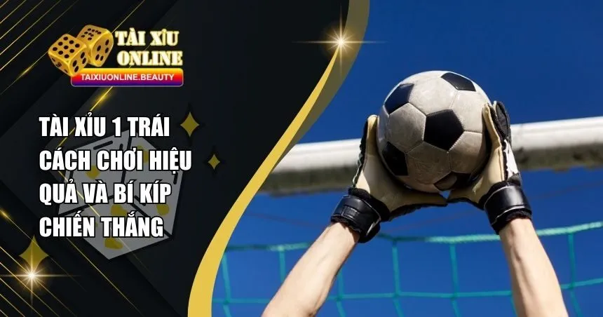 Kèo Tài Xỉu 1 Trái Là Gì? Hướng Dẫn Cách Đọc Kèo