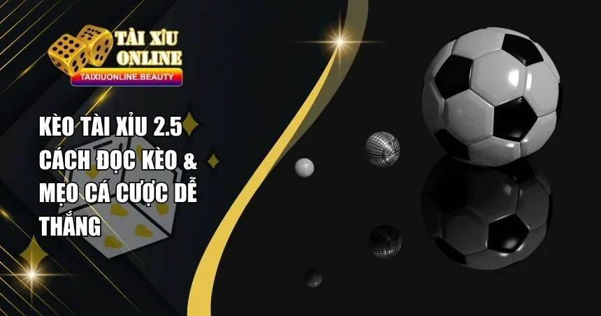 Tài Xỉu 2.5 Là Gì? Hướng Dẫn Cách Chơi & Kinh Nghiệm Cược Hiệu Quả